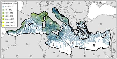 Basin-wide estimates of loggerhead turtle abundance in the Mediterranean Sea derived from line transect surveys